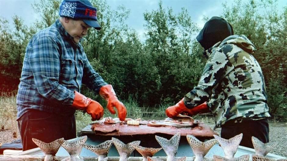 Sealaska Settlement Trust - Your Questions, Answered!