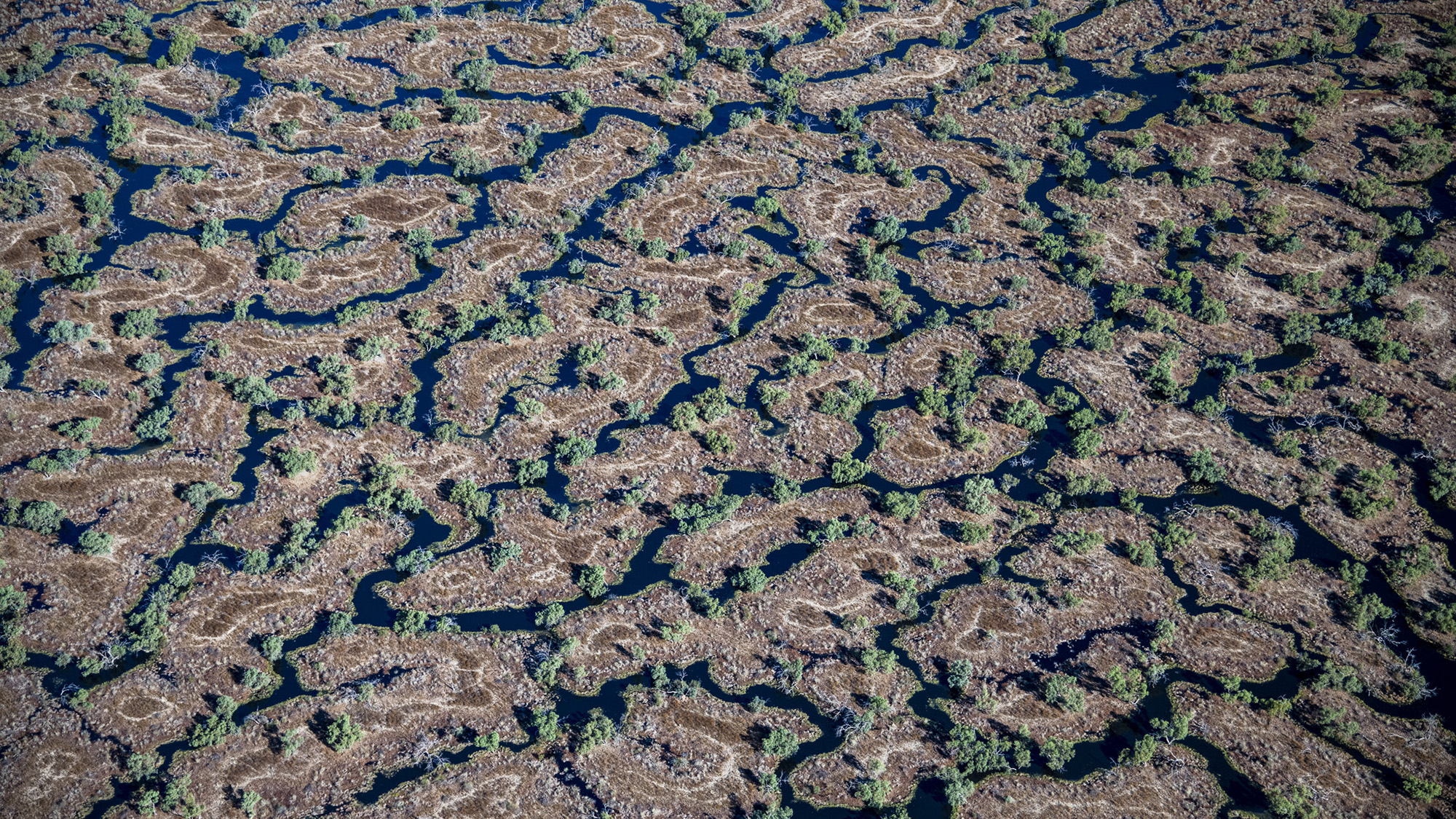 In Australia's Channel Country Water Brings Life